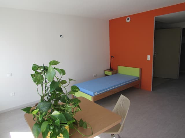 Photo du logement