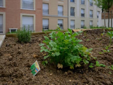 Photo du logement
